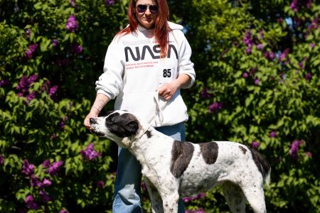 85. 	Suka	Otvorená	ORCHIDEA ROYAL DAISY	VD