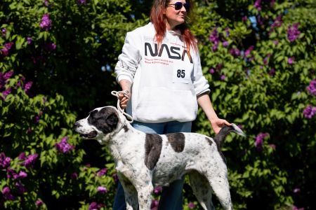 85. 	Suka	Otvorená	ORCHIDEA ROYAL DAISY	VD