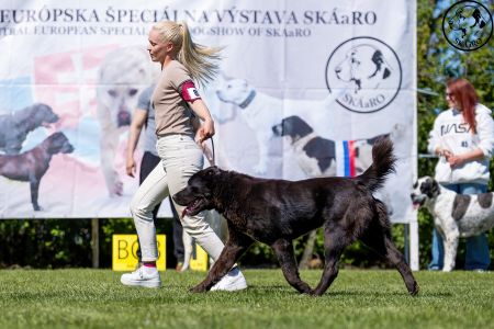 83. 	Suka	Otvorená	MASHA VALIS KENNEL	V