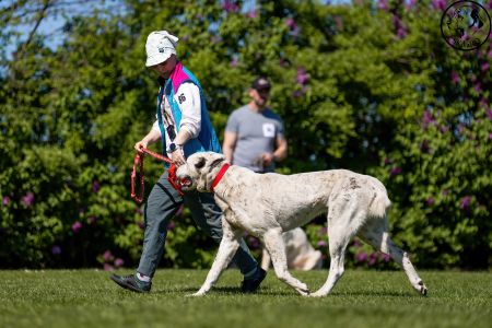 86. 	Suka	Otvorená	ORISSAY ROYAL DAISY	VD