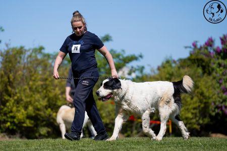 76. 	Suka	Otvorená	DANICA SINE METU VAMDAMI	V3