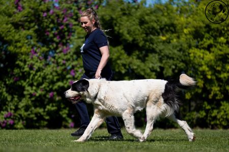 76. 	Suka	Otvorená	DANICA SINE METU VAMDAMI	V3