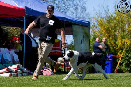 79. 	Suka	Otvorená	FRIDA CAO IT	V2, Res.CAC