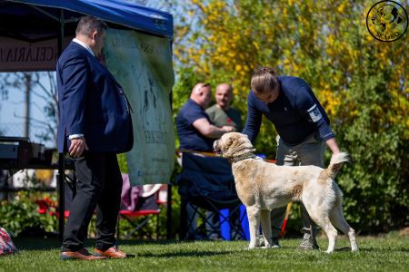 80. 	Suka	Otvorená	IVA LEINADIPAD -PDDPS	V
