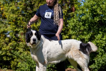 76. 	Suka	Otvorená	DANICA SINE METU VAMDAMI	V3