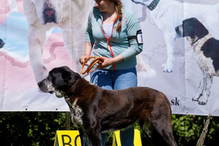77. 	Suka	Otvorená	DORY BARKING MAD	V