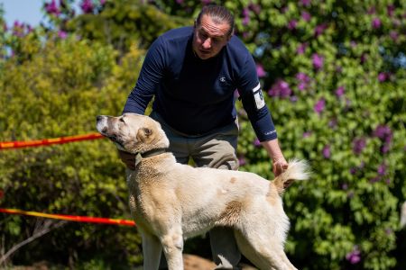 80. 	Suka	Otvorená	IVA LEINADIPAD -PDDPS	V