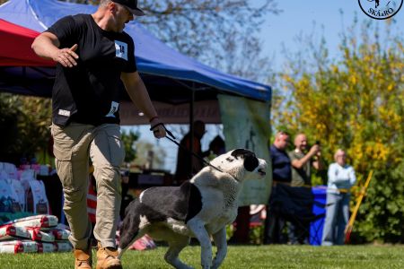 79. 	Suka	Otvorená	FRIDA CAO IT	V2, Res.CAC