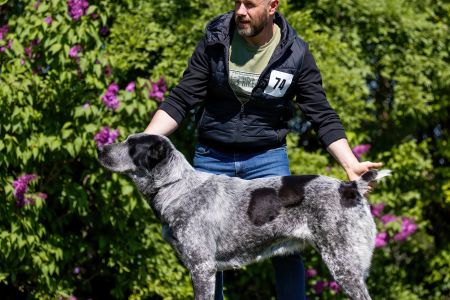 74. 	Suka	Otvorená	CATALINA	VD