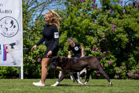 71. 	Suka	Otvorená	BIG CUNALE DESSA	V