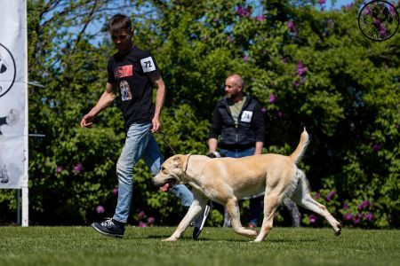 72. 	Suka	Otvorená	BONITA MORLAK DALMATO	V