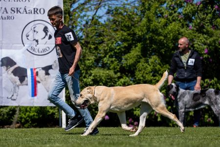 72. 	Suka	Otvorená	BONITA MORLAK DALMATO	V