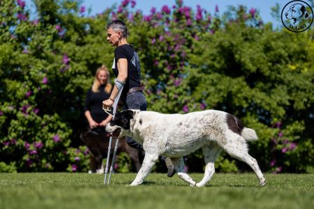 73. 	Suka	Otvorená	BONNIE SPOD VYSOKÝCH TATIER	V