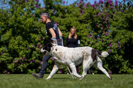 73. 	Suka	Otvorená	BONNIE SPOD VYSOKÝCH TATIER	V