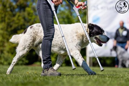 73. 	Suka	Otvorená	BONNIE SPOD VYSOKÝCH TATIER	V