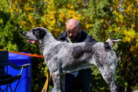 74. 	Suka	Otvorená	CATALINA	VD