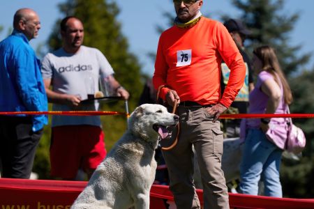 75. 	Suka	Otvorená	DAILY DRA-ŠAJ ASSAD	VD