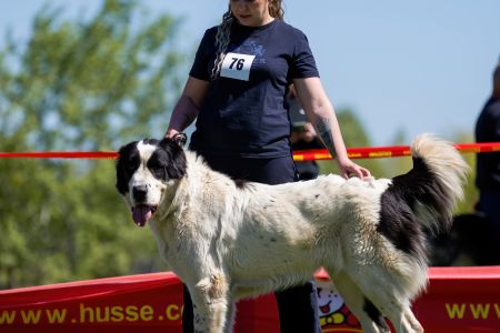 76. 	Suka	Otvorená	DANICA SINE METU VAMDAMI	V3