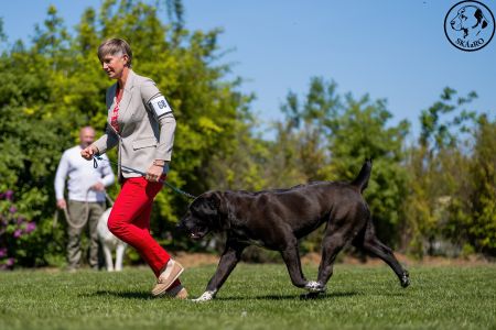 68. 	Suka	Otvorená	BAGHEERA MORLAK DALMATO	V4