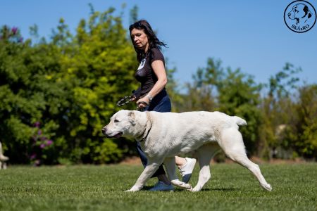 70. 	Suka	Otvorená	BERRY USULL-BEK	V