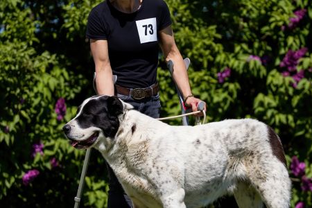 73. 	Suka	Otvorená	BONNIE SPOD VYSOKÝCH TATIER	V