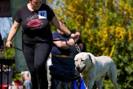 67. 	Suka	Otvorená	B-VANDA	V