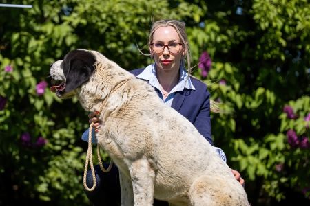 69. 	Suka	Otvorená	BAHARGÜL NORTH STAR FIGHTER	VD