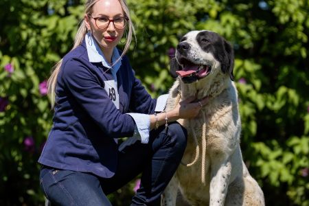 69. 	Suka	Otvorená	BAHARGÜL NORTH STAR FIGHTER	VD