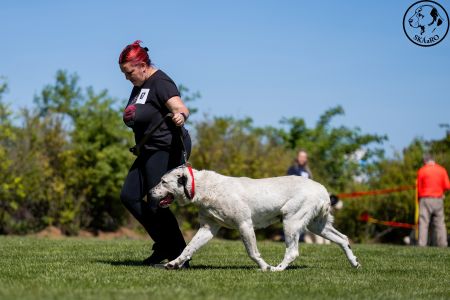 67. 	Suka	Otvorená	B-VANDA	V