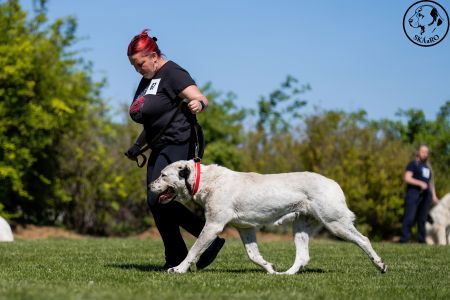 67. 	Suka	Otvorená	B-VANDA	V