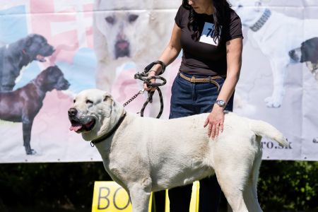 70. 	Suka	Otvorená	BERRY USULL-BEK	V