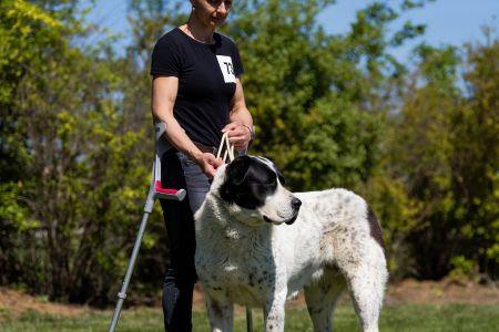73. 	Suka	Otvorená	BONNIE SPOD VYSOKÝCH TATIER	V
