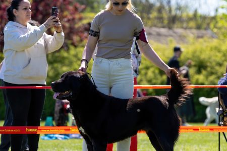 83. 	Suka	Otvorená	MASHA VALIS KENNEL	V