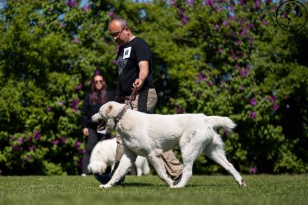 61. 	Suka	Stredná	ROXY CHACALKIZ CHENEKEL	V4