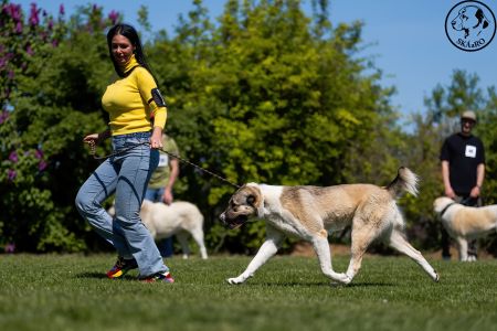 63. 	Suka	Stredná	SULIMA DAUR DON	V