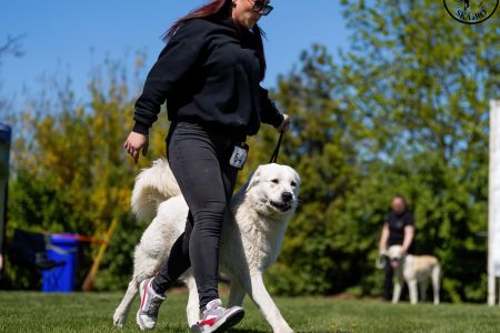 64. 	Suka	Stredná	TIKOSISTAN B´NEFERITI	V