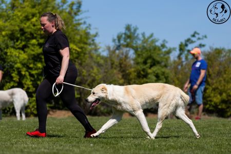 65. 	Suka	Stredná	TIKOSISTAN BÍTIA	VD