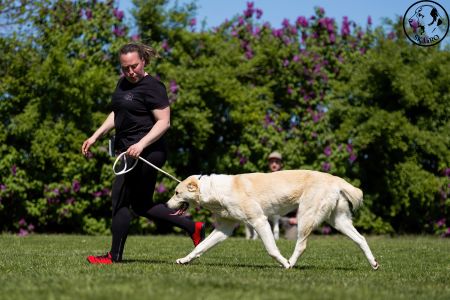 65. 	Suka	Stredná	TIKOSISTAN BÍTIA	VD