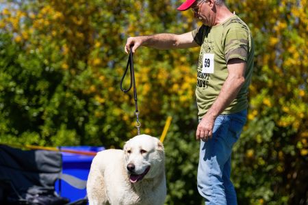 59. 	Suka	Stredná	RENESMEE TENERIS IZARA	V3