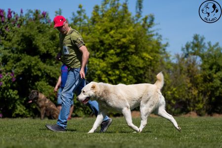 59. 	Suka	Stredná	RENESMEE TENERIS IZARA	V3