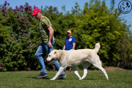 59. 	Suka	Stredná	RENESMEE TENERIS IZARA	V3