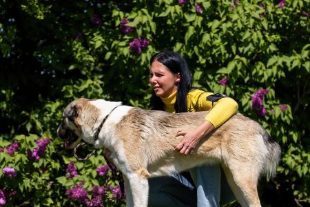 63. 	Suka	Stredná	SULIMA DAUR DON	V