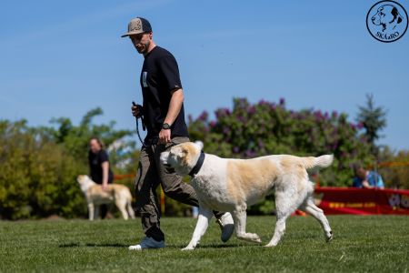 60. 	Suka	Stredná	RIMMA CHACALKIZ CHENEKEL	V