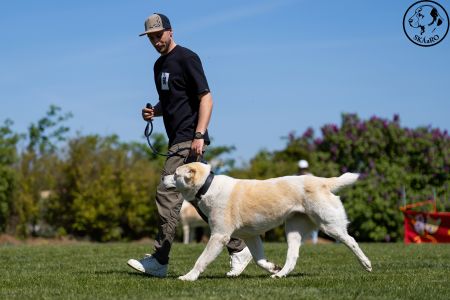 60. 	Suka	Stredná	RIMMA CHACALKIZ CHENEKEL	V