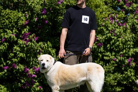 60. 	Suka	Stredná	RIMMA CHACALKIZ CHENEKEL	V