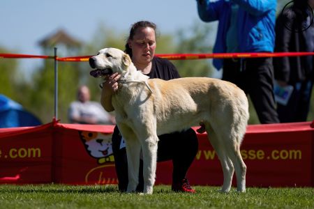 65. 	Suka	Stredná	TIKOSISTAN BÍTIA	VD