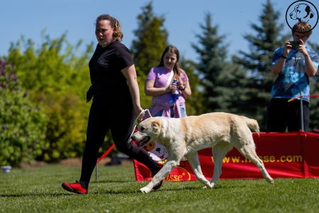 65. 	Suka	Stredná	TIKOSISTAN BÍTIA	VD