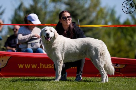 64. 	Suka	Stredná	TIKOSISTAN B´NEFERITI	V