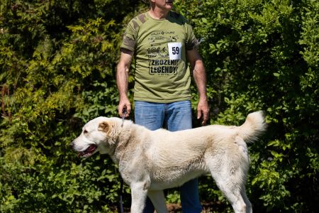 59. 	Suka	Stredná	RENESMEE TENERIS IZARA	V3