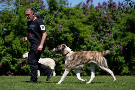 56. 	Suka	Mladých	VANDA MIA CAOKO MIA 	V